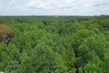 TBD Byars Farm Road - Photo 6