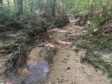  Old Calhoun Falls Road - Photo 11
