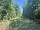  Old Calhoun Falls Road - Photo 16