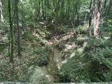  Old Calhoun Falls Road - Photo 19