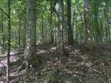  Old Calhoun Falls Road - Photo 8