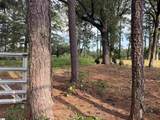 1329 Georgia Road - Photo 3