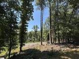 111 Sweetshrub Way - Photo 10