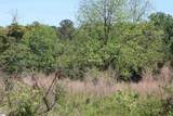 0 Old Canaan Tract 7 Road - Photo 3
