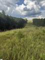 00 Daves Valley Road - Photo 10
