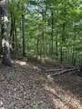 00 Daves Valley Road - Photo 3