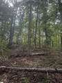 00 Daves Valley Road - Photo 5