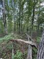 00 Daves Valley Road - Photo 7