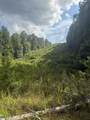 00 Daves Valley Road - Photo 9