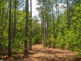 00 Cheek Road - Photo 12