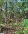 0 Mount Shoals Road - Photo 3