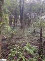 0 Mount Shoals Road - Photo 4