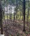 0 Mount Shoals Road - Photo 5