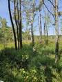 335 Old Ferry Road - Photo 7