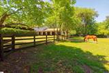 1242 Audubon Drive - Photo 35