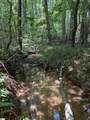 45 Emily Lane - Photo 4