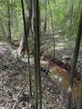 45 Emily Lane - Photo 5