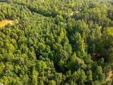 00 Crowe Creek Road - Photo 16