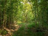 00 Crowe Creek Road - Photo 6