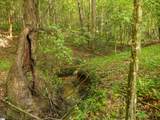 00 Crowe Creek Road - Photo 7