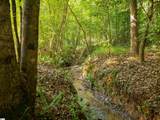 00 Crowe Creek Road - Photo 8