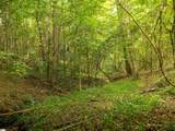 00 Crowe Creek Road - Photo 9