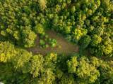 00 Crowe Creek Road - Photo 10