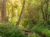 00 Crowe Creek Road - Photo 17