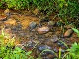 00 Crowe Creek Road - Photo 19