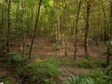 00 Crowe Creek Road - Photo 20