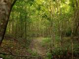 00 Crowe Creek Road - Photo 21