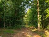 00 Crowe Creek Road - Photo 7
