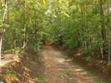 00 Crowe Creek Road - Photo 21