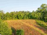 00 Crowe Creek Road - Photo 6