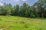 217 Richardson Road - Photo 10