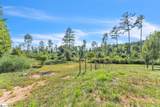 502 Mountain Creek Church Road - Photo 31