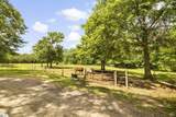 155 Reining Way - Photo 19
