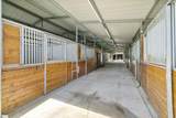 155 Reining Way - Photo 4