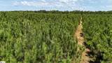 00 Young Road - Photo 6