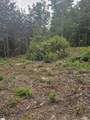 1138 Belue Mill Road - Photo 4