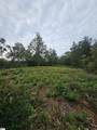1146 Belue Mill Road - Photo 1