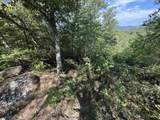 1140 Packs Mountain Ridge Road - Photo 7