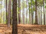 00 Cheek Road - Photo 19