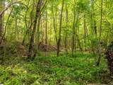 00 Cheek Road - Photo 24