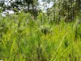 00 Cheek Road - Photo 14