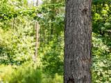 00 Cheek Road - Photo 16