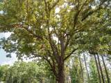 00 Cheek Road - Photo 17