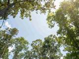 00 Cheek Road - Photo 18