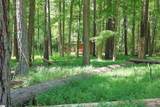 214 Sulpher Springs Road - Photo 33