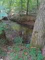 214 Sulpher Springs Road - Photo 42